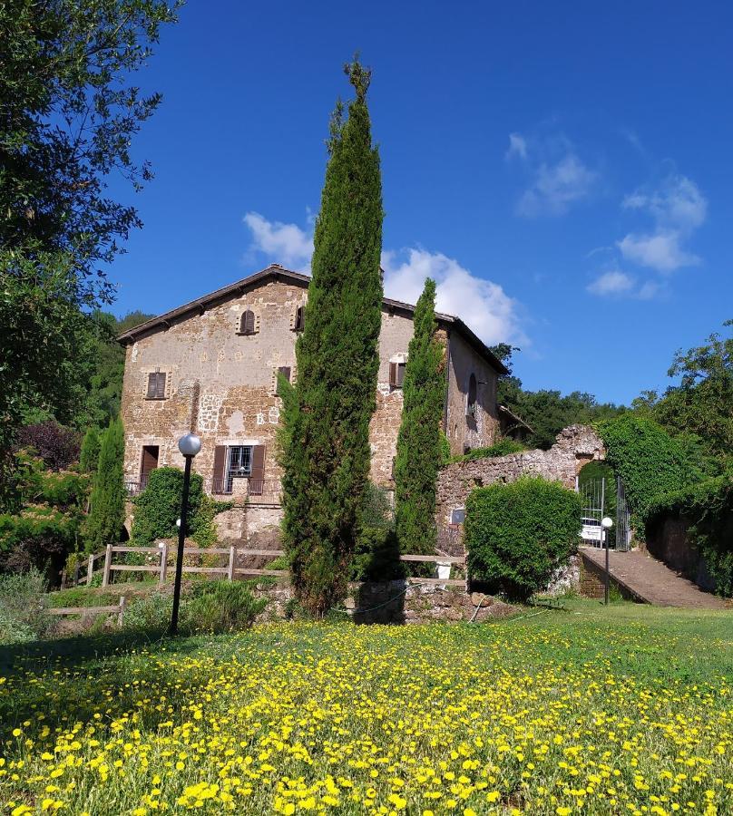 B&B Il Giardino Del Borgo Veiano Extérieur photo